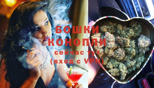 скорость Новозыбков