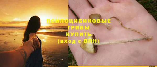 скорость Новозыбков