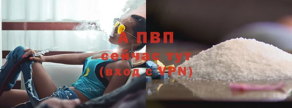 скорость Новозыбков
